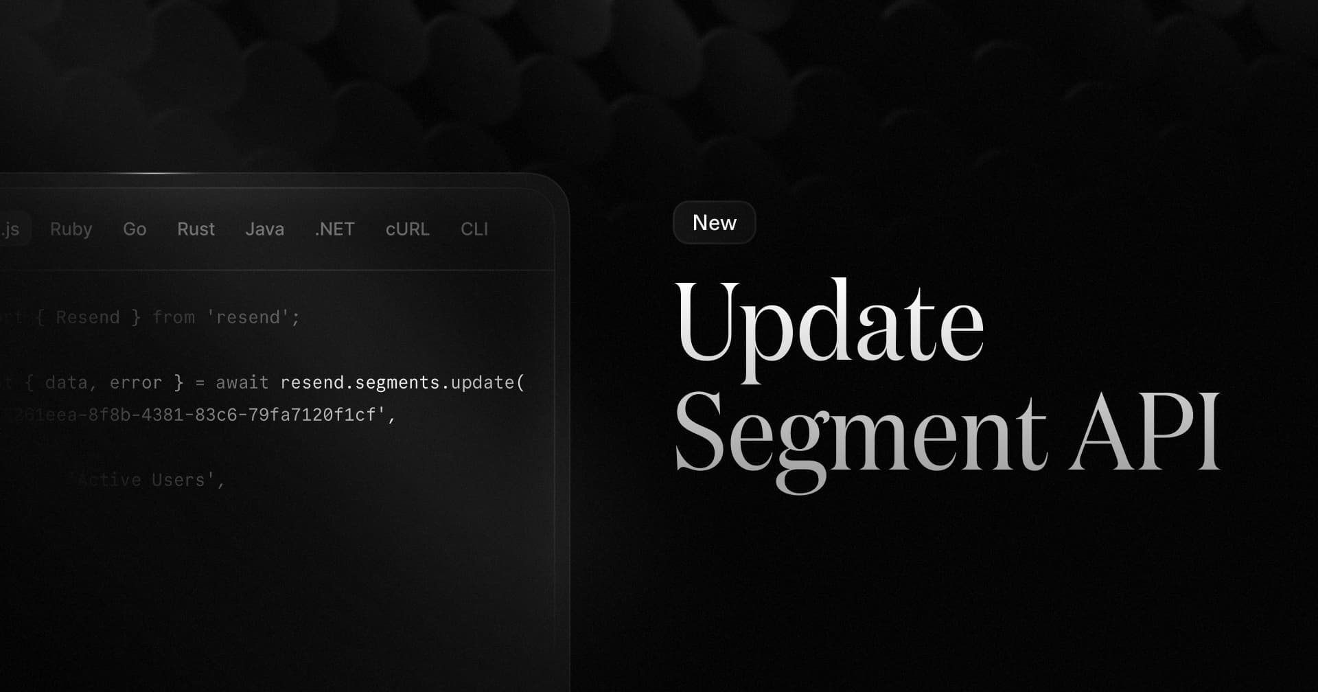 Update Segment API